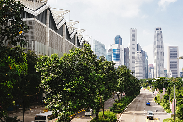 Buildings with trees surrounded on road